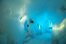 知床流氷フェス