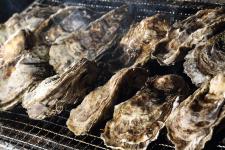 松島大漁かきまつりin磯島