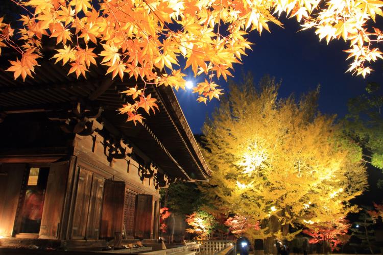 白水阿弥陀堂 夜間特別拝観