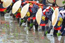 お田植祭り（伊佐須美神社）