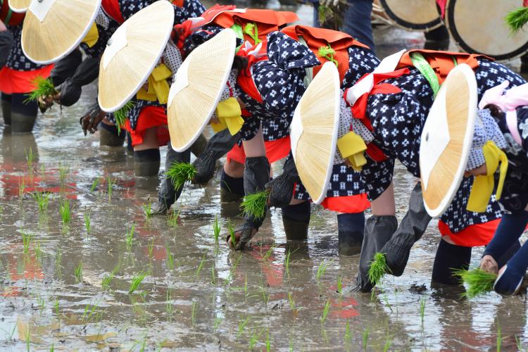 お田植祭り(伊佐須美神社)