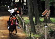 大宝八幡宮の流鏑馬