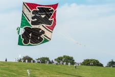 大凧あげ祭り