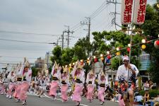 南越谷阿波踊り