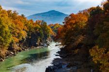 長瀞紅葉まつり