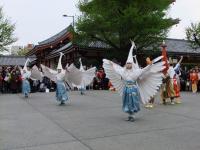 白鷺の舞（浅草寺）