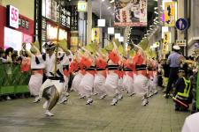 高円寺阿波踊り