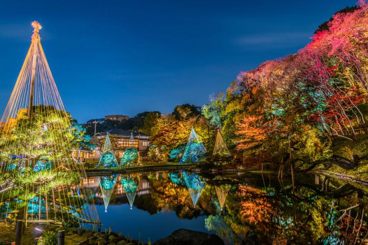 肥後細川庭園ライトアップ