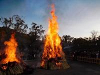 左義長（鶴岡八幡宮）