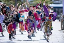 能登よさこい祭り