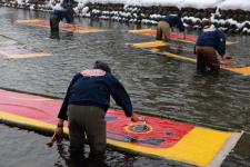 郡上本染鯉のぼり　寒さらし