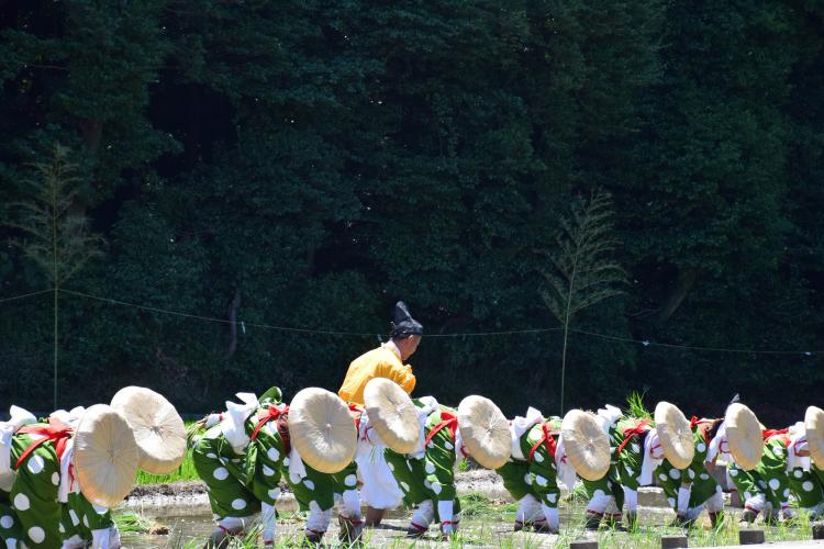 大高斎田御田植祭(氷上姉子神社)