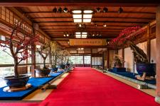 長浜盆梅展（慶雲館）