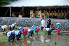 田植祭（伏見稲荷）