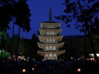 万灯会（醍醐寺）