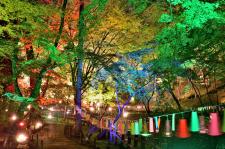 京の七夕