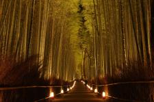 京都花灯路