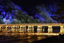 京都花灯路
