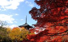 秘仏・本尊阿弥陀如来像公開（真如堂）