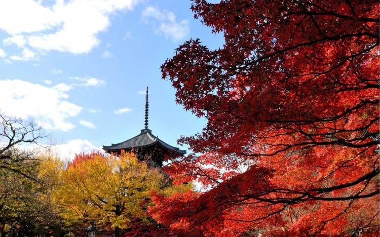 秘仏・本尊阿弥陀如来像公開(真如堂)