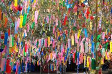 機物神社七夕祭り