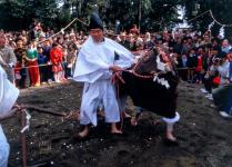 御田植祭（鏡作神社）