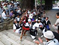 御霊会風流（玉若酢命神社）