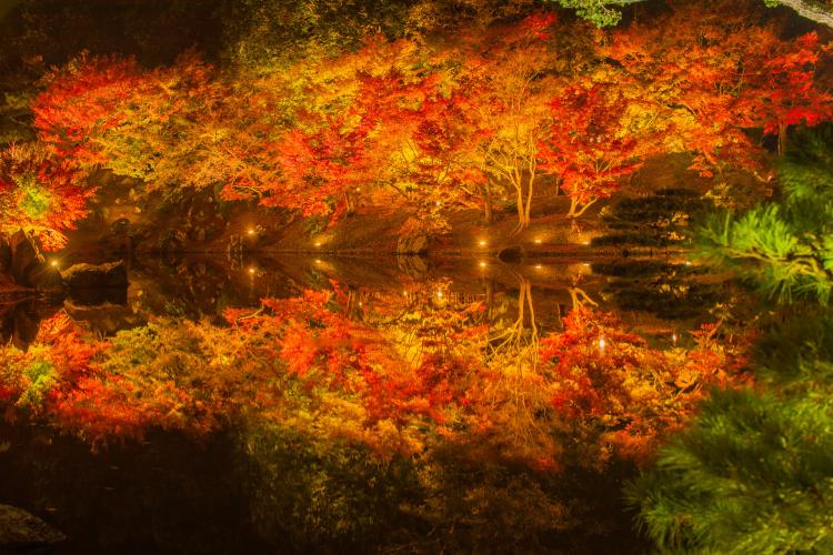 栗林公園・秋のライトアップ