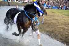 八代妙見祭