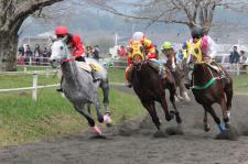 綾競馬