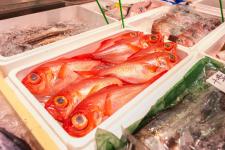 海産物専門おのざき