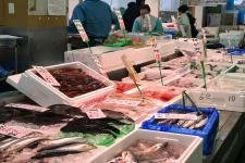 海産物専門おのざき