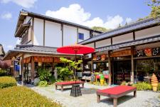 茶の葉堂
