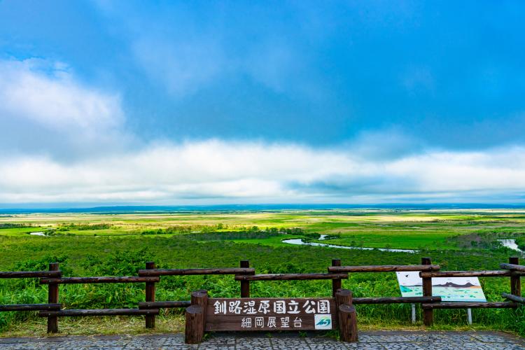 釧路湿原(細岡展望台)