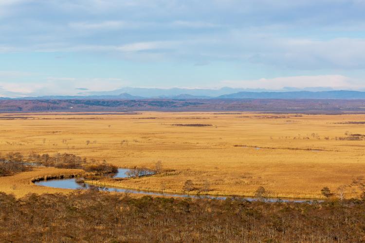 釧路湿原(細岡展望台)