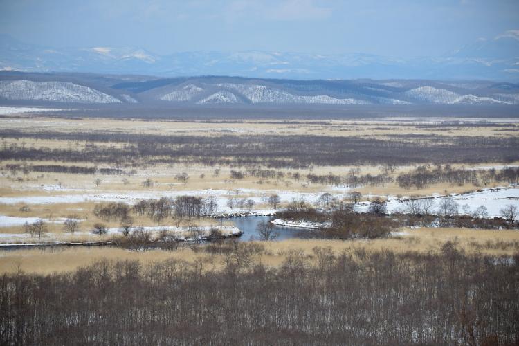 釧路湿原(細岡展望台)