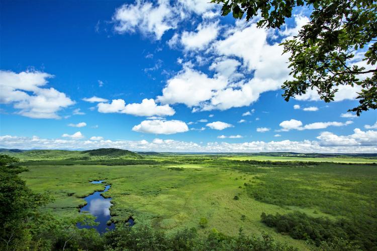 釧路湿原(細岡展望台)