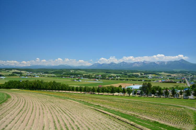 深山峠展望台