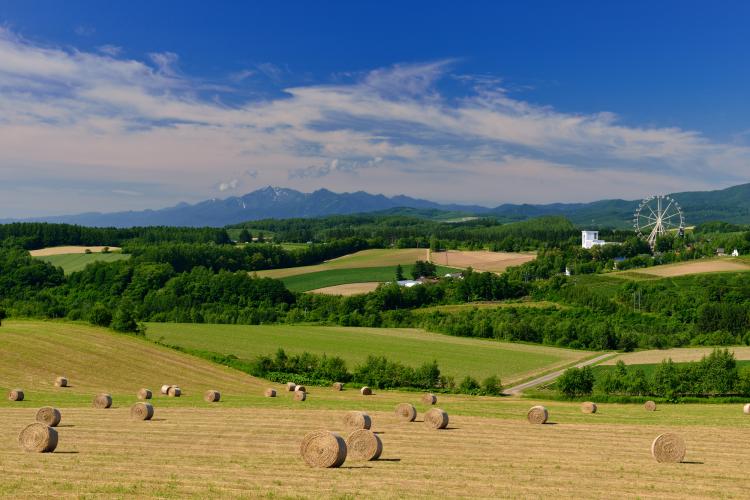 深山峠展望台