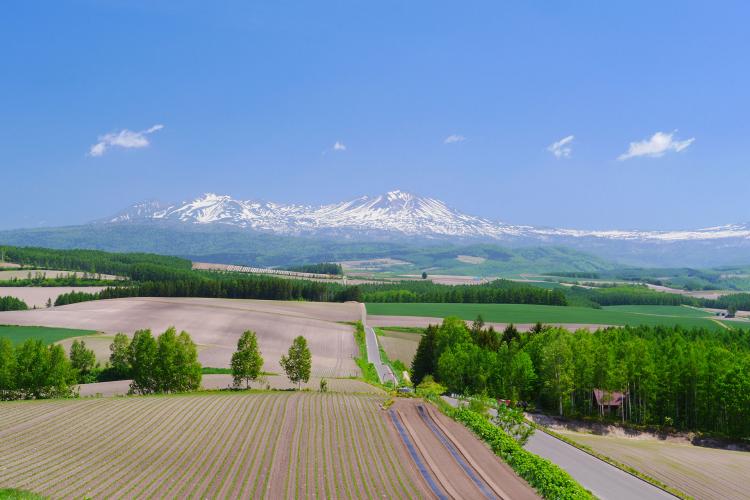 就実の丘 ドライブコンサルタント