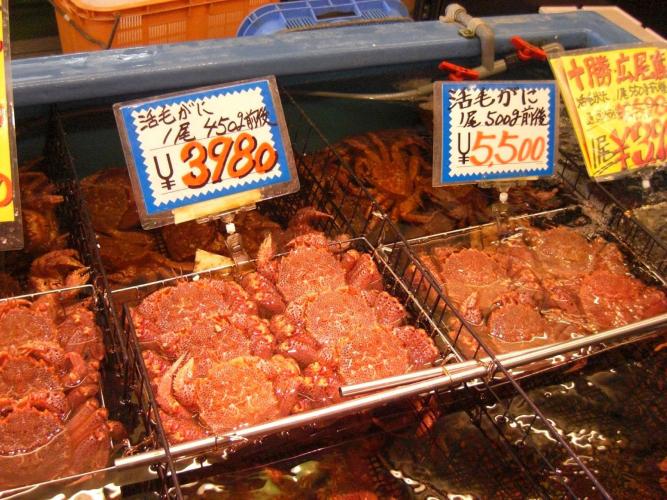 札幌中央卸売市場