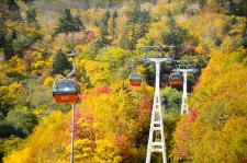 札幌国際スキー場紅葉ゴンドラ