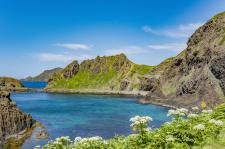 礼文島
