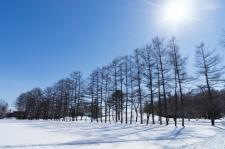 緑ヶ丘公園