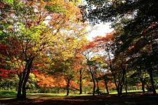 福原山荘