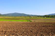 幌加内町の蕎麦畑