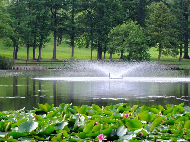 八郎沼公園