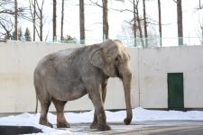 おびひろ動物園