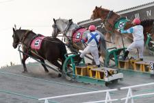 帯広競馬場（ばんえい十勝）