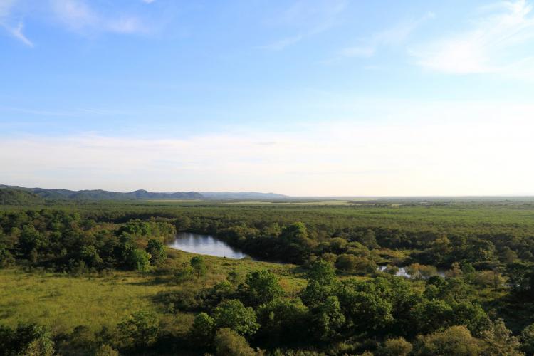 釧路湿原(二本松展望地)